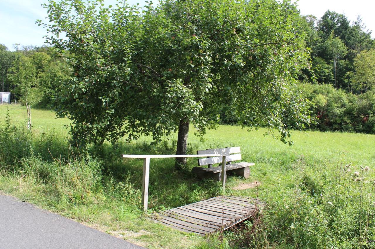 Ferienwohnung Forellenhof Oberschwarzach Экстерьер фото